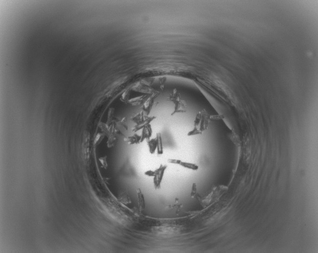 X0000071360356200606301724