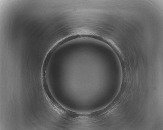 X0000071360391200606301724
