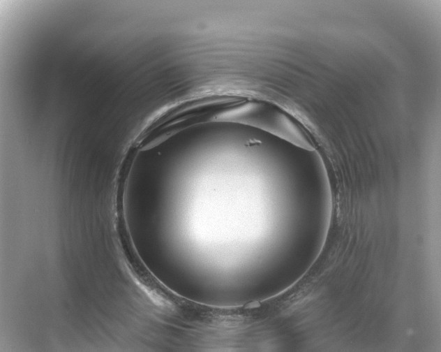 X0000071360438200606301722