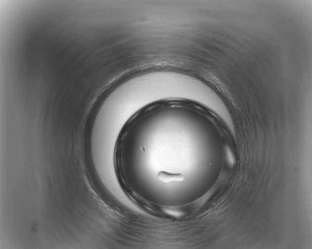 X0000071360444200606301722