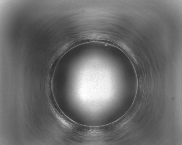 X0000071360445200606301722