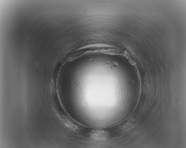X0000071360459200606301722