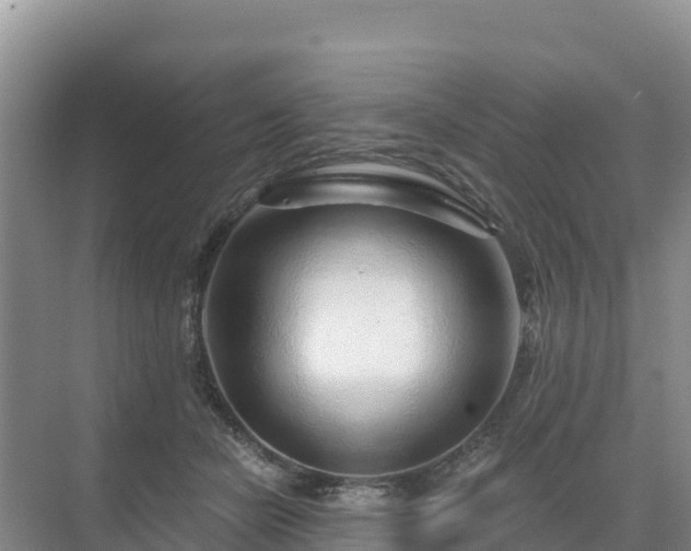 X0000071360462200606301723