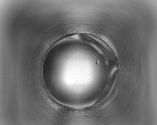 X0000071360481200606301722