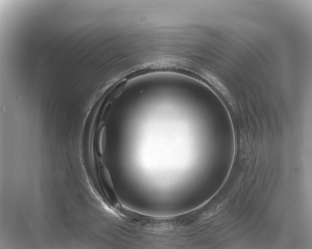 X0000071360485200606301722