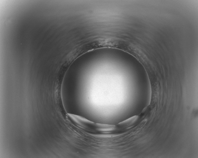 X0000071360513200606301721