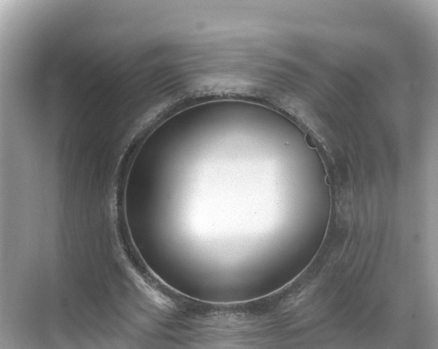 X0000071360629200606301719