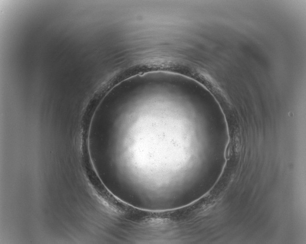 X0000071360637200606301719
