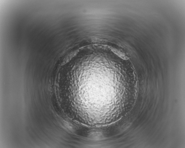 X0000071360653200606301719