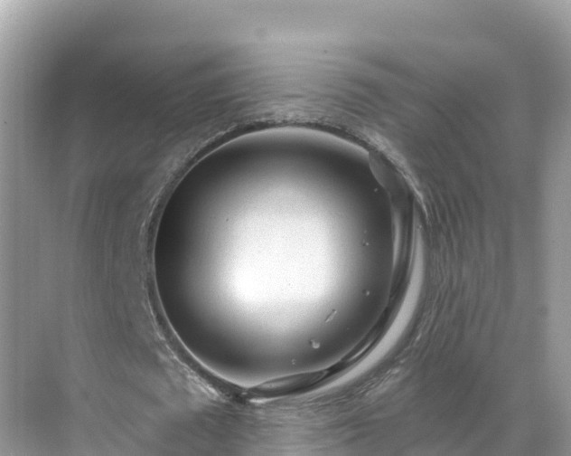 X0000071360673200606301719