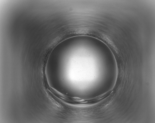 X0000071360681200606301719
