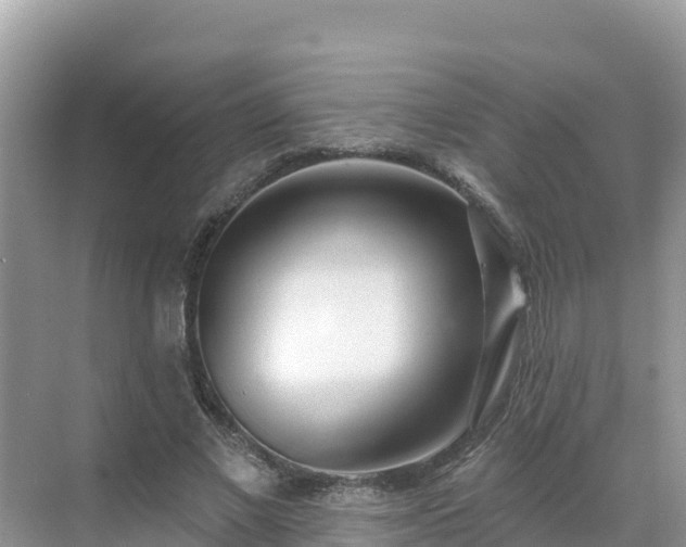 X0000071360685200606301719