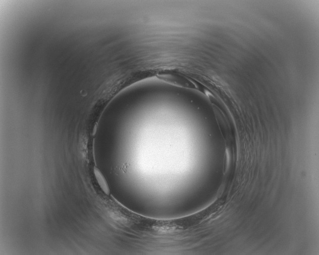 X0000071360693200606301718