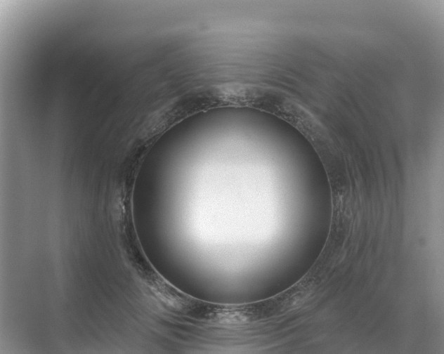 X0000071360702200606301718