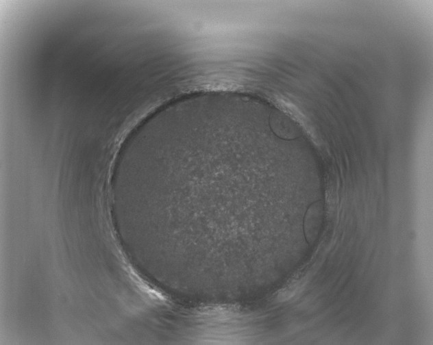 X0000071360721200606301717