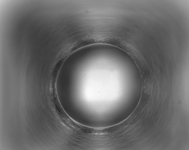 X0000071360740200606301717