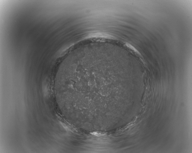 X0000071360775200606301717