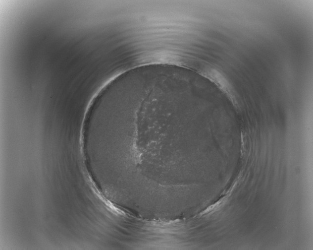 X0000071360780200606301717