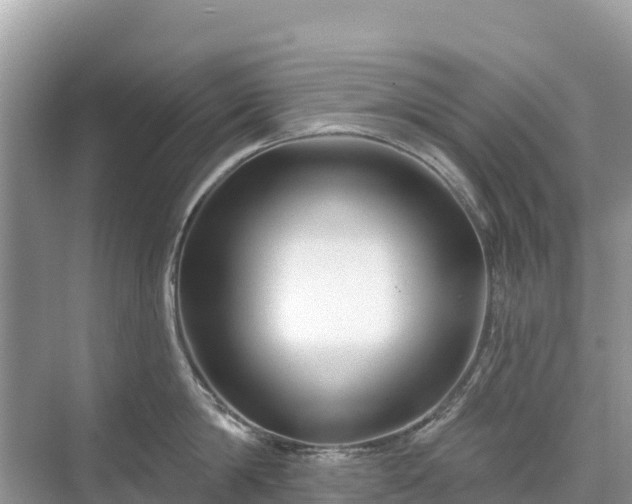 X0000071360814200606301716