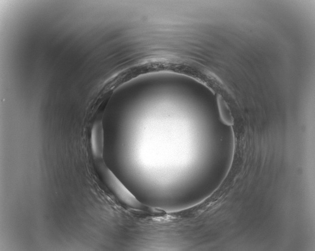 X0000071360822200606301716