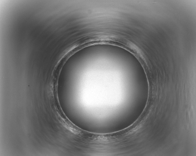X0000071360827200606301716