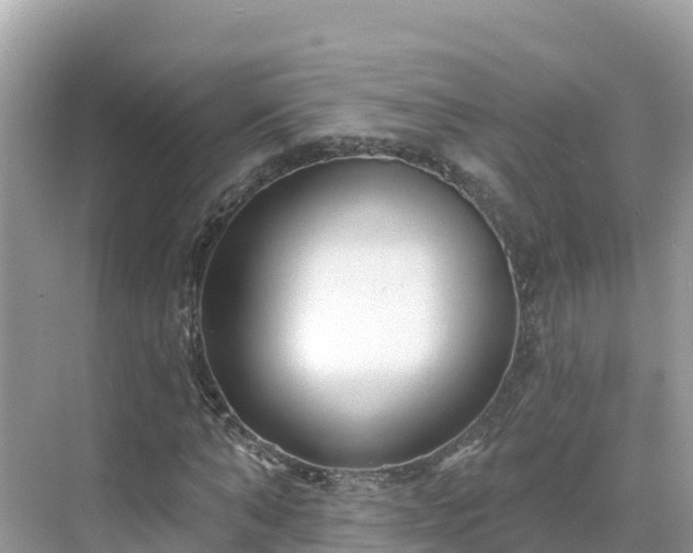 X0000071360870200606301715