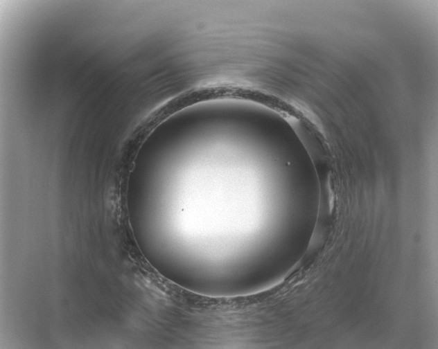 X0000071360872200606301715