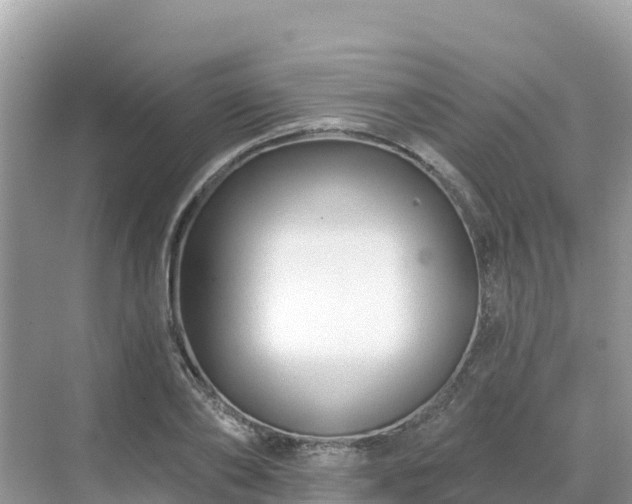 X0000071360886200606301715