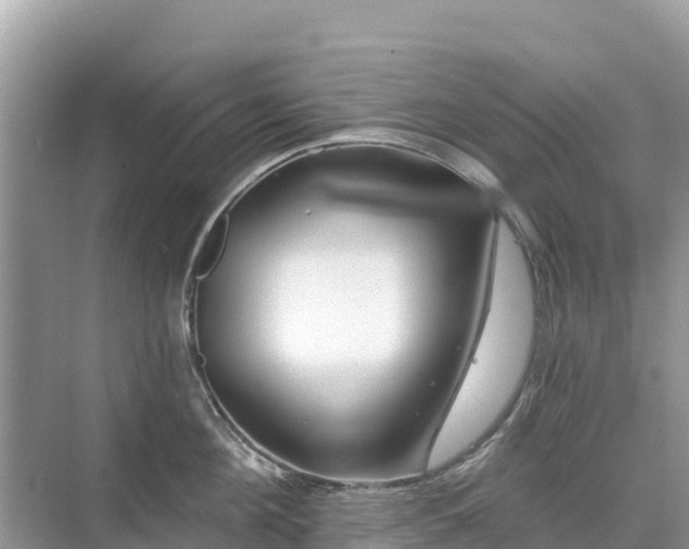 X0000071360908200606301715