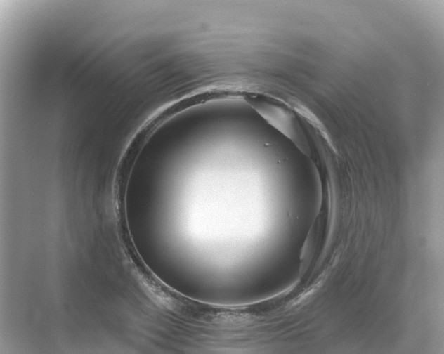 X0000071360981200606301713