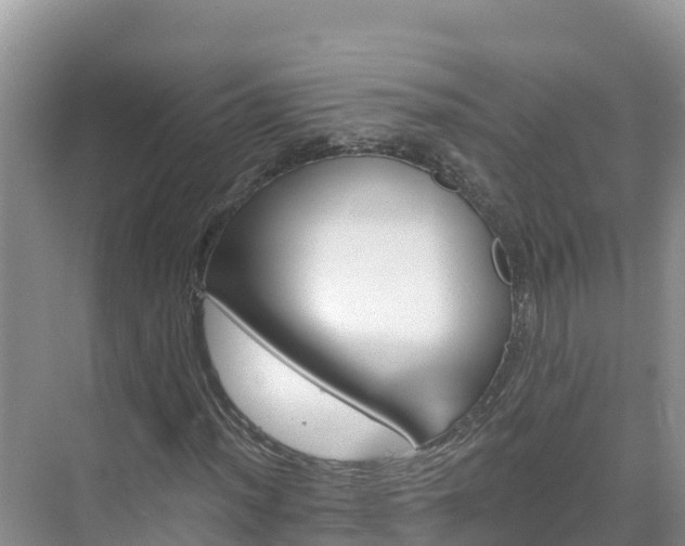 X0000071361012200606301712