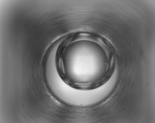 X0000071361018200606301712