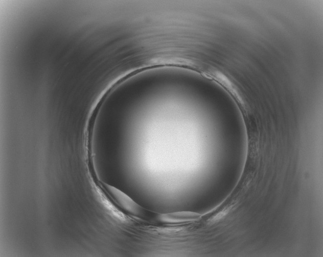 X0000071361140200606301711