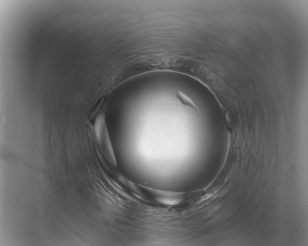 X0000071361202200606301709