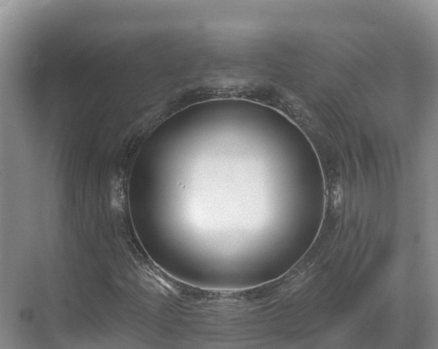 X0000071361204200606301709
