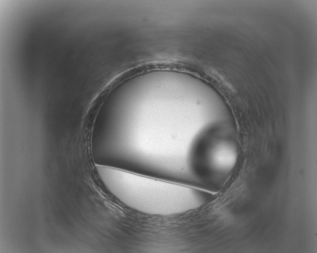 X0000071361208200606301709
