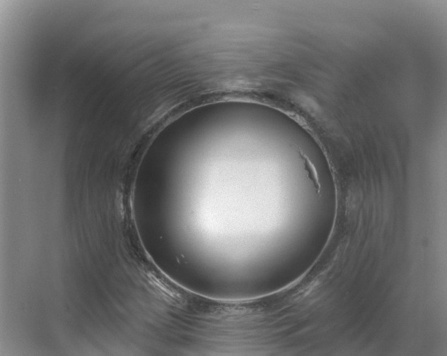 X0000071361209200606301709