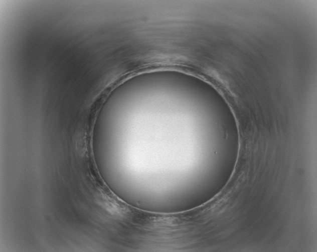 X0000071361211200606301709