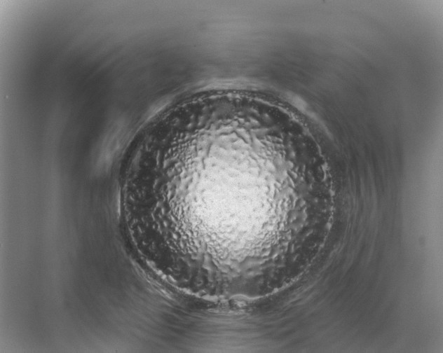X0000071361221200606301709