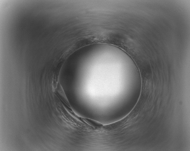 X0000071361250200606301709