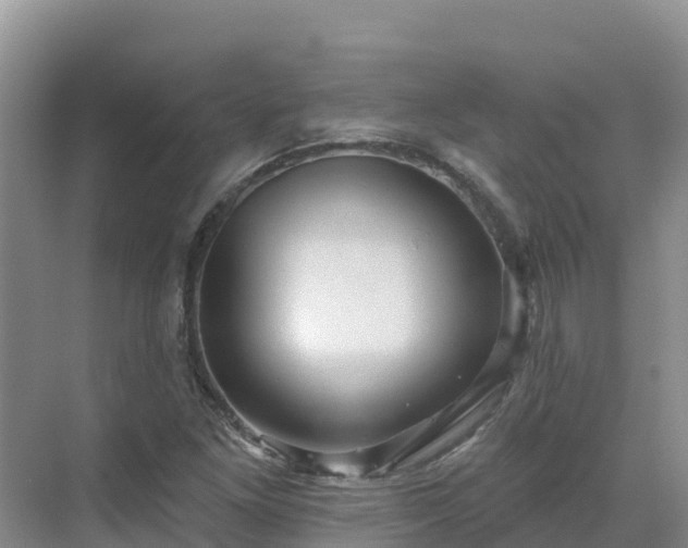 X0000071361261200606301709