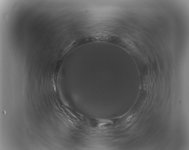 X0000071361298200606301707