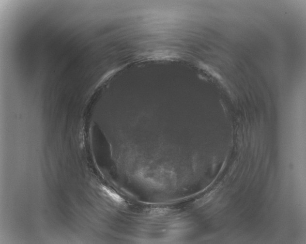 X0000071361306200606301708