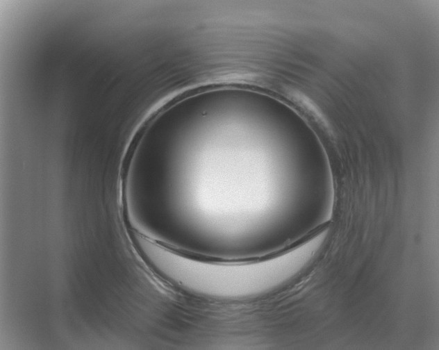 X0000071361324200606301708
