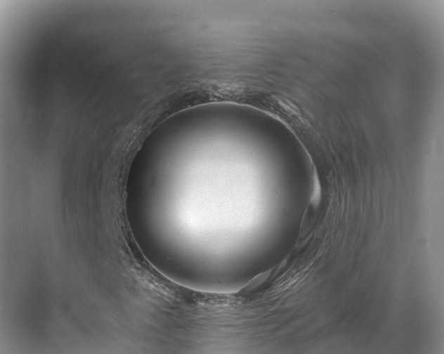 X0000071361345200606301707