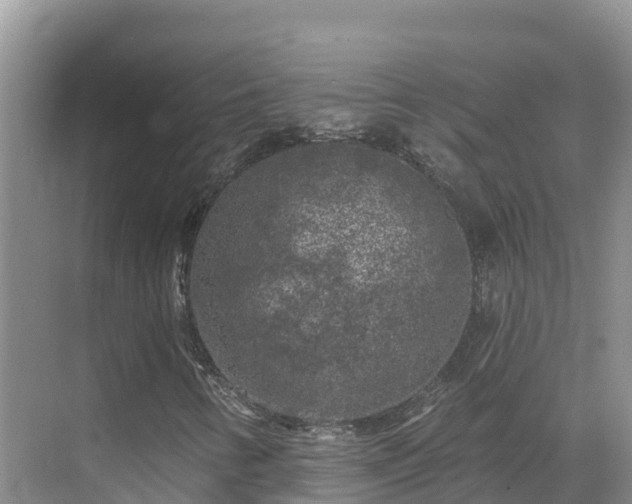 X0000071361346200606301707