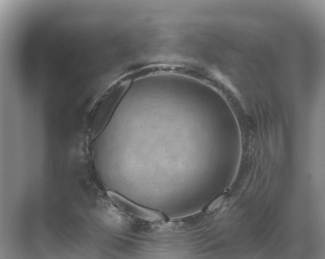 X0000071361352200606301707