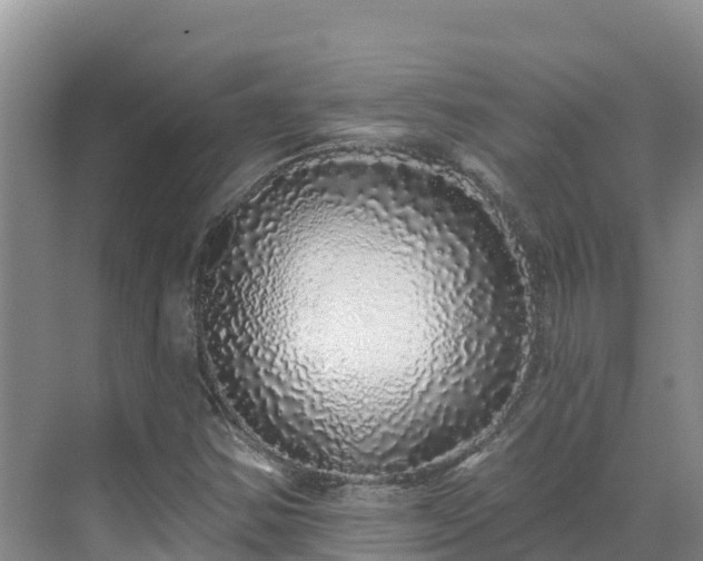 X0000071361354200606301707