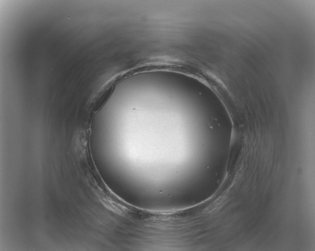 X0000071361355200606301707
