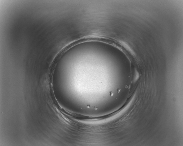 X0000071361356200606301707